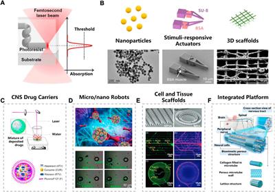 Emerging applications of femtosecond laser fabrication in neurobiological research